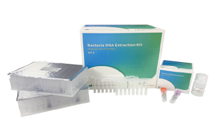 Kit de extracción de ADN de bacterias (Método de perlas magnéticas)