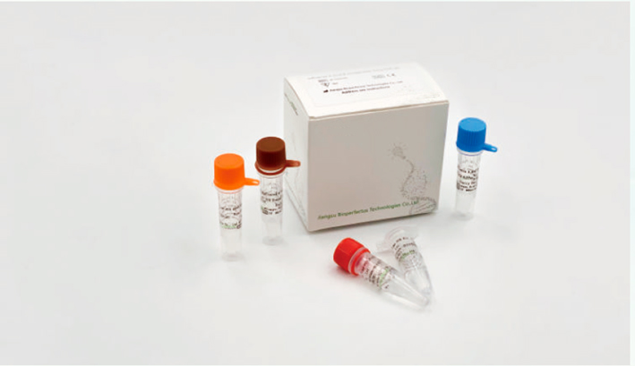 Kit PCR en tiempo Real para el virus de la Gripe A y B