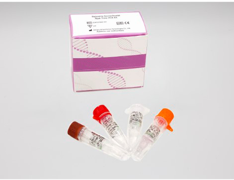 Kit PCR en tiempo real Neisseria Gonorrhoeae