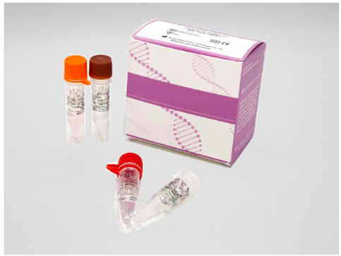 Kit de PCR en tiempo real para Ureaplasma Urealyticum